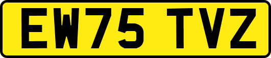 EW75TVZ
