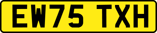 EW75TXH