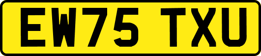 EW75TXU