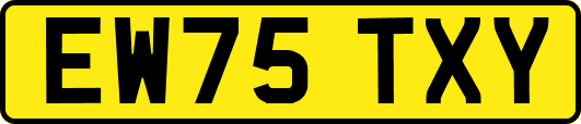 EW75TXY