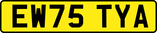 EW75TYA