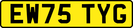 EW75TYG