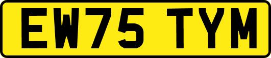 EW75TYM