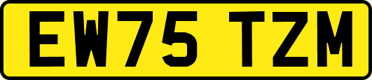 EW75TZM