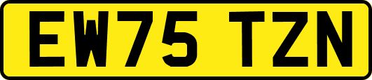 EW75TZN