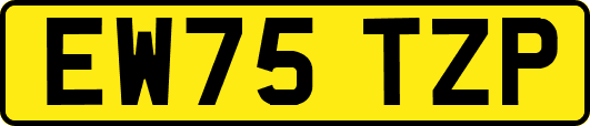 EW75TZP