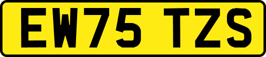 EW75TZS