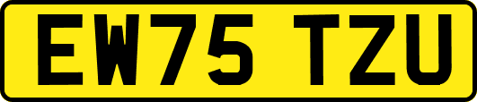 EW75TZU