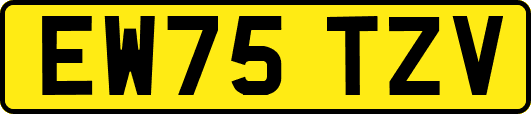 EW75TZV