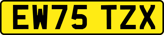 EW75TZX
