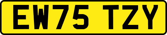 EW75TZY