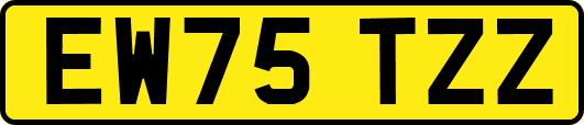 EW75TZZ