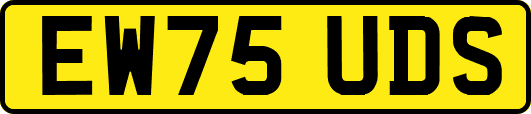 EW75UDS