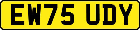 EW75UDY