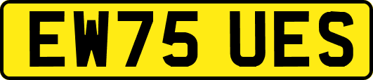 EW75UES