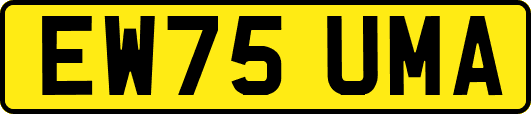 EW75UMA