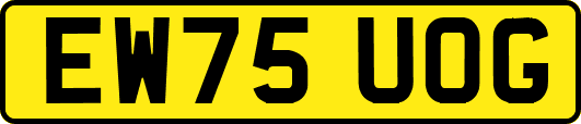 EW75UOG