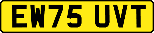 EW75UVT
