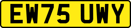 EW75UWY