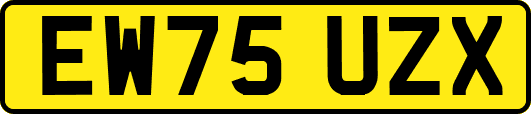 EW75UZX