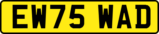 EW75WAD