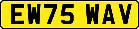 EW75WAV