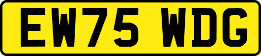 EW75WDG