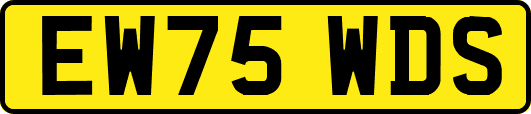 EW75WDS