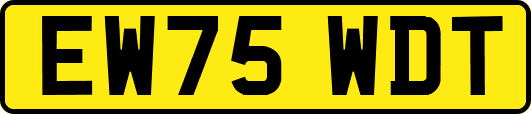 EW75WDT