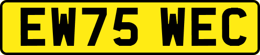EW75WEC