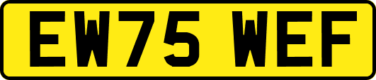 EW75WEF