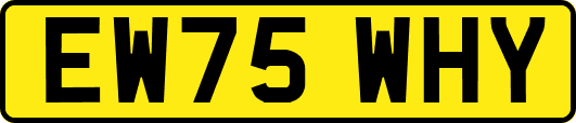 EW75WHY