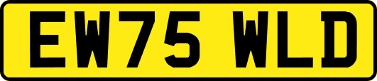 EW75WLD