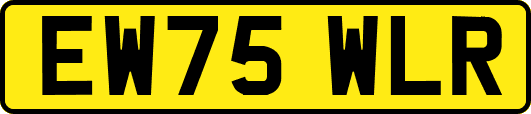 EW75WLR