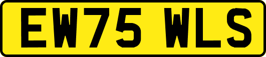 EW75WLS