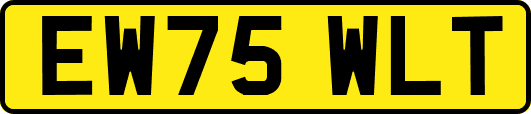EW75WLT
