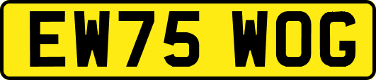 EW75WOG