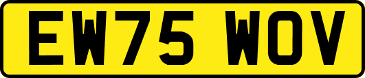 EW75WOV