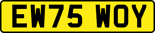 EW75WOY