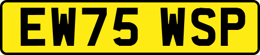 EW75WSP