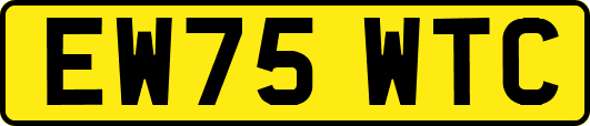 EW75WTC