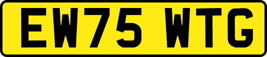 EW75WTG