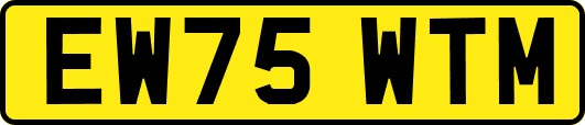 EW75WTM