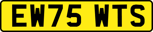 EW75WTS