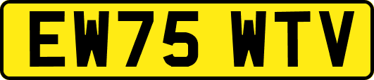 EW75WTV