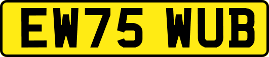 EW75WUB