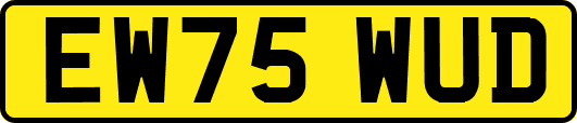EW75WUD