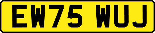 EW75WUJ