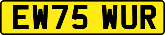 EW75WUR
