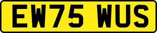 EW75WUS